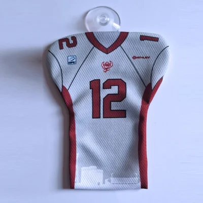Mini-Heimtrikot