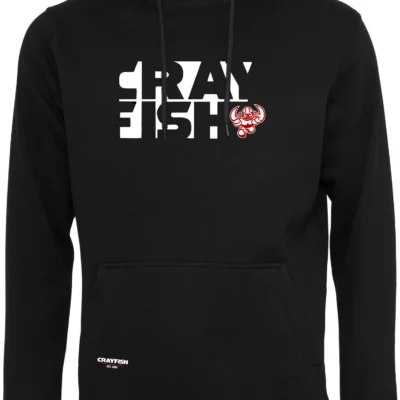 Hoodie schwarz - invertierte Schrift & Logo